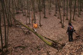 národní park podyjí 9