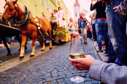 znojemské vinobraní 5